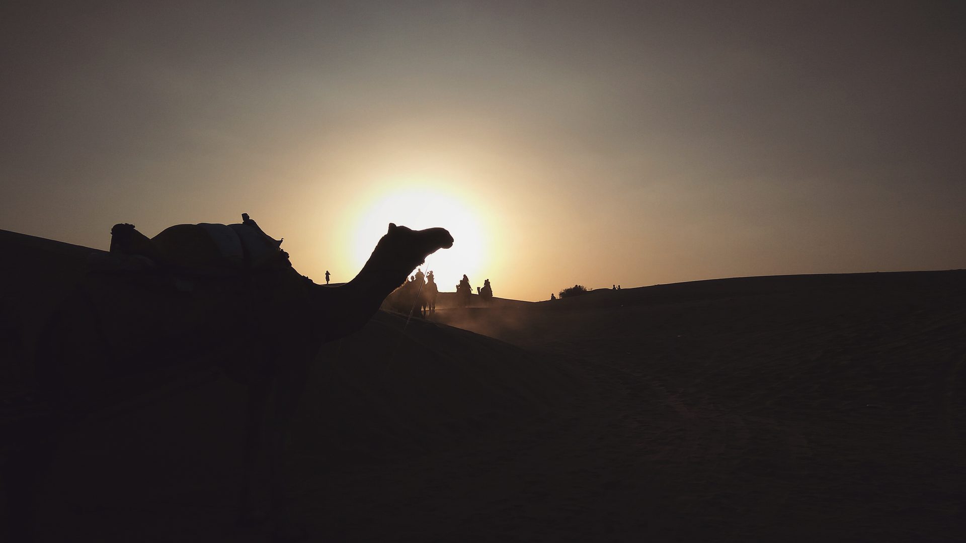 Camel caravan moving gracefully across undulating sand ridges of the Thar Desert under golden evening sky