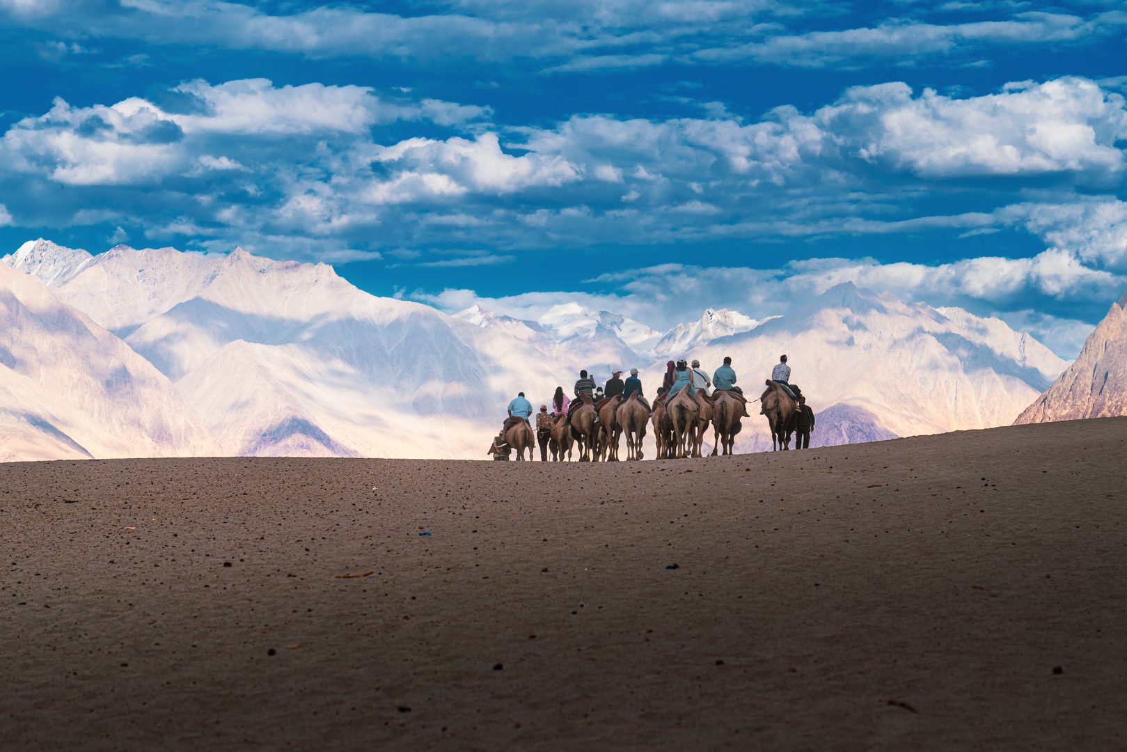 High-altitude cold desert dunes of Nubra Valley framed by snow-covered Karakoram peaks in Ladakh