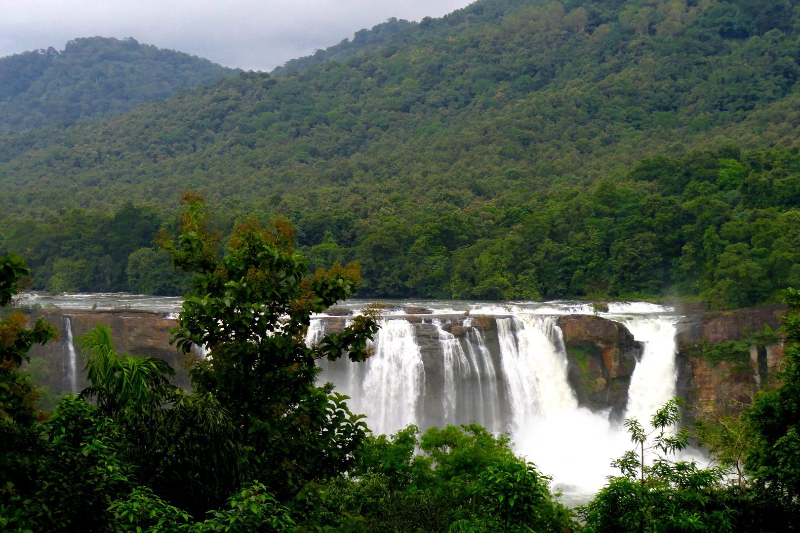 Misty evergreen forest canopy and cascading waterfall in the biodiverse Western Ghats of South India