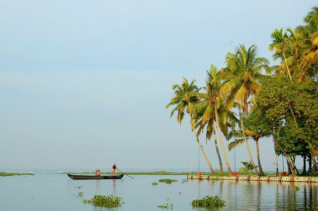 Wooden country canoe gliding along palm-fringed backwater channels of Kumarakom, Kerala
