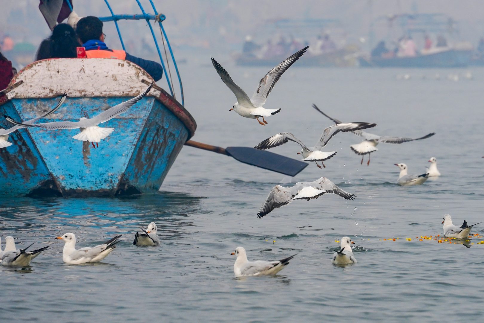 Morning river boats gathered at the holy confluence of Ganga and Yamuna in Prayagraj