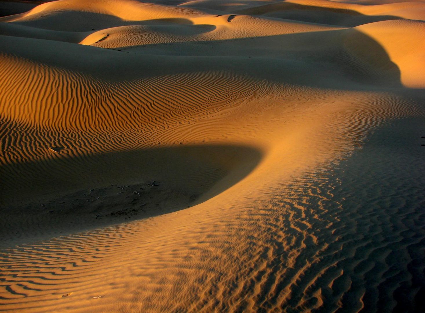 Rippled golden sandstone dunes under the desert sun in Western Rajasthan