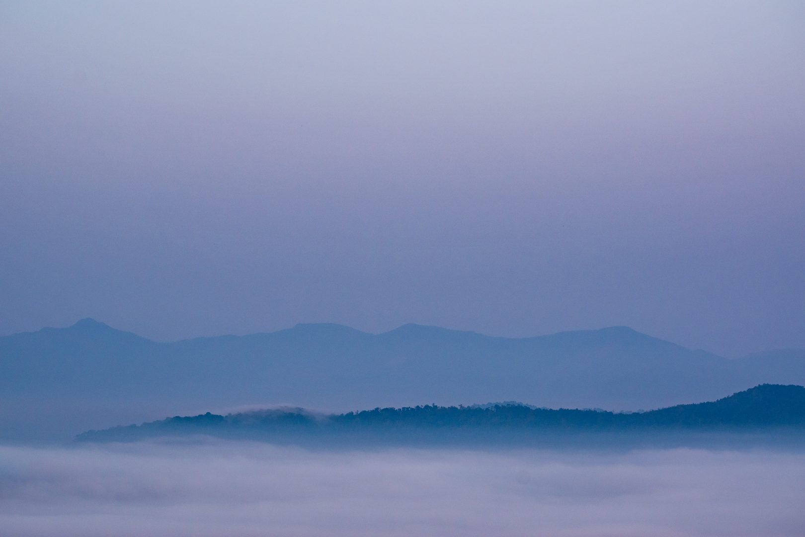 Lush misty rainforest canopy and mountain ridges of the Western Ghats biodiversity hotspot