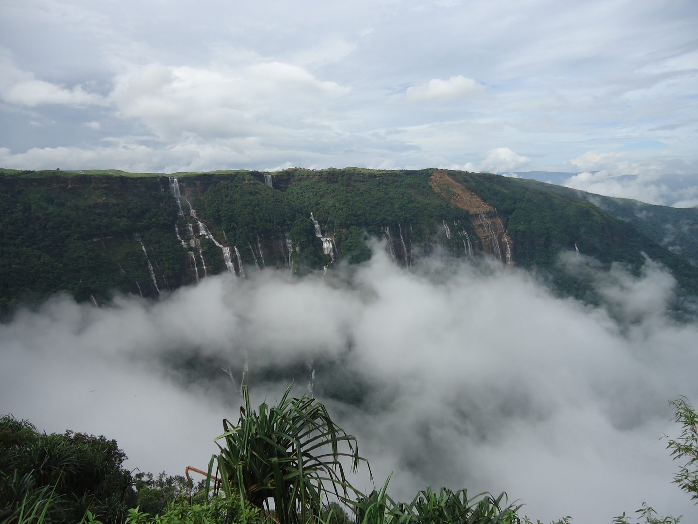 Verdant jungle canopy and natural stone riverbed in the subtropical hills of Meghalaya