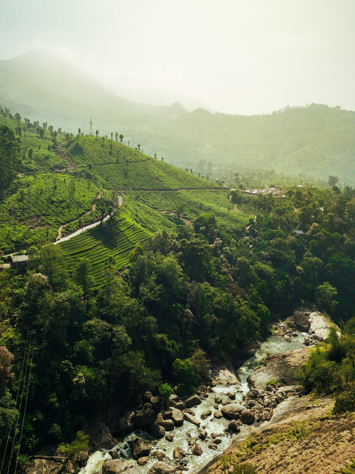 Lush misty spice highlands and emerald green hills of Munnar, Kerala