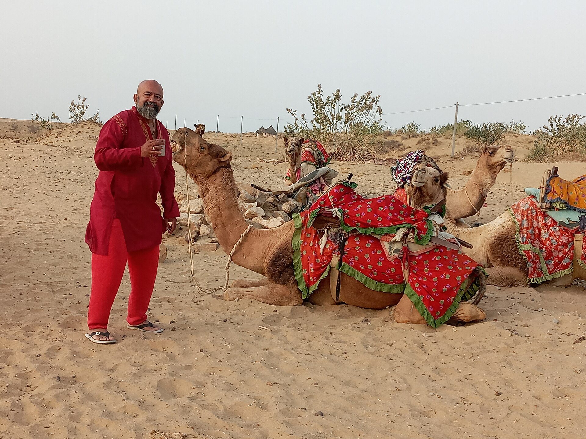 Decorated camels and desert sands under the golden horizon of the Thar Desert in Rajasthan