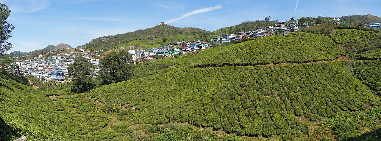 Rolling emerald tea hills and cloud-capped mountain slopes in Munnar, Western Ghats