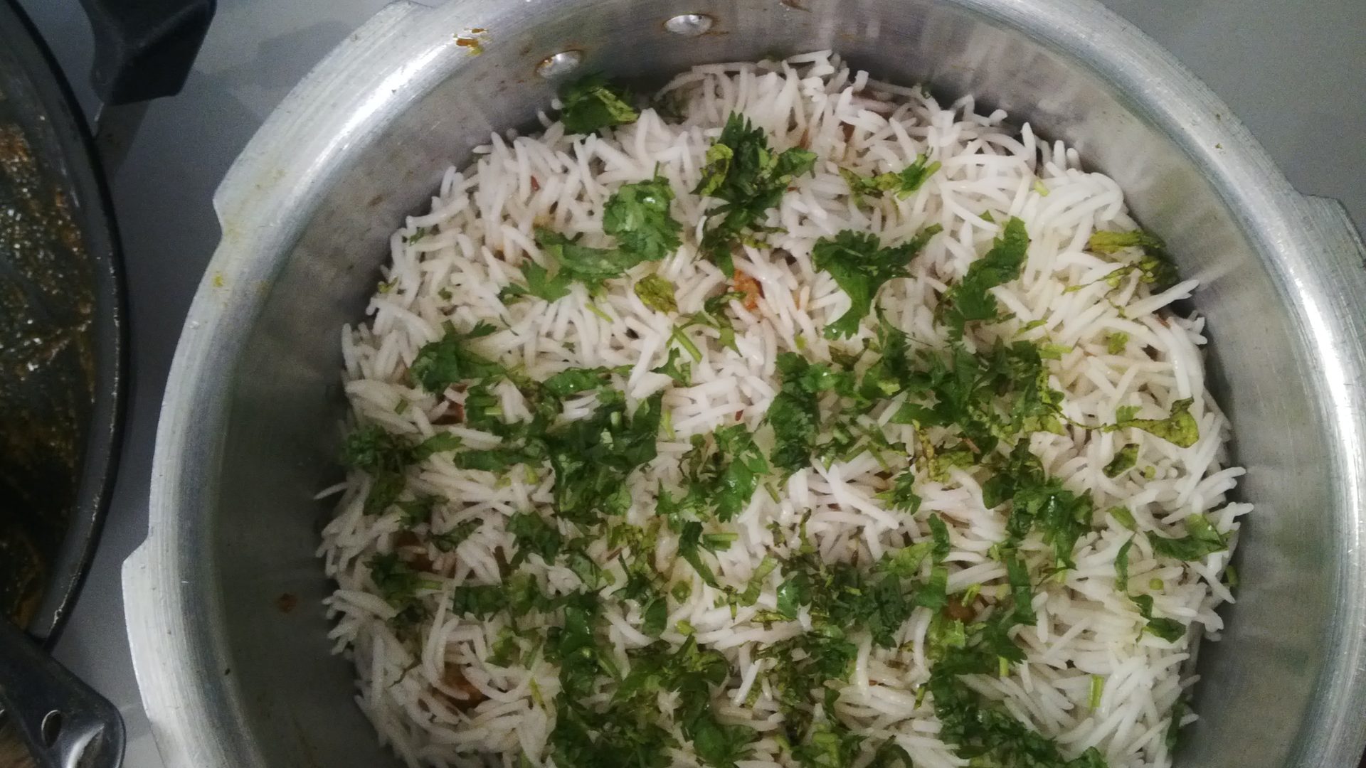 Steaming golden saffron basmati rice and slow-cooked royal Awadhi biryani garnished with fried onions