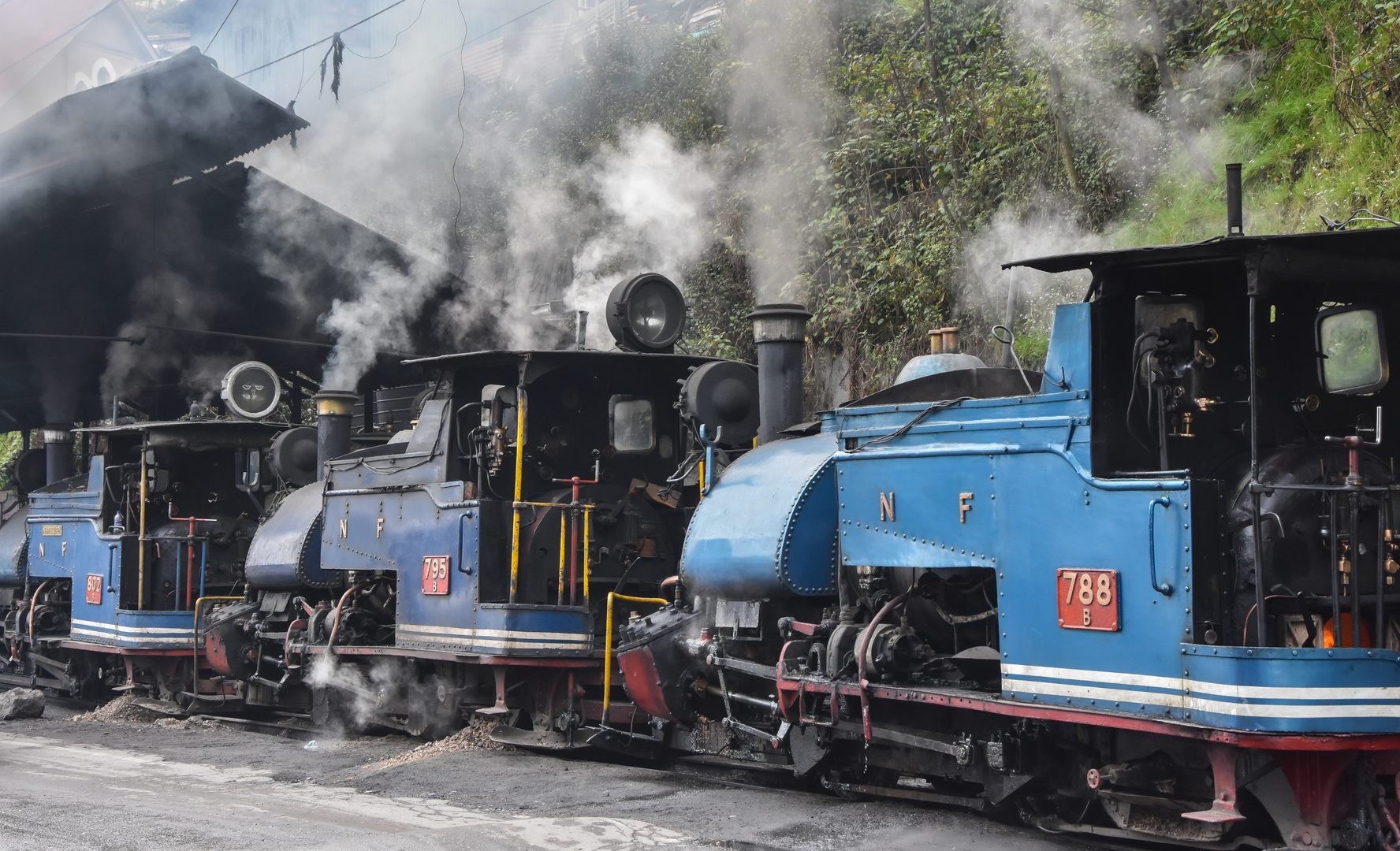 Heritage steam locomotive of Darjeeling Himalayan Railway winding through tea hills