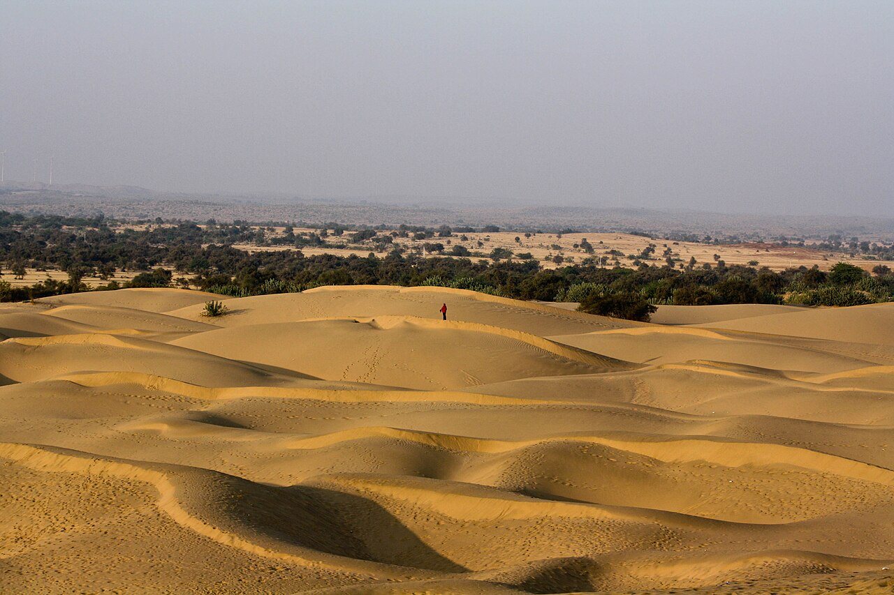 Camel caravan resting on rippled golden dunes of the Thar Desert outside Jaisalmer
