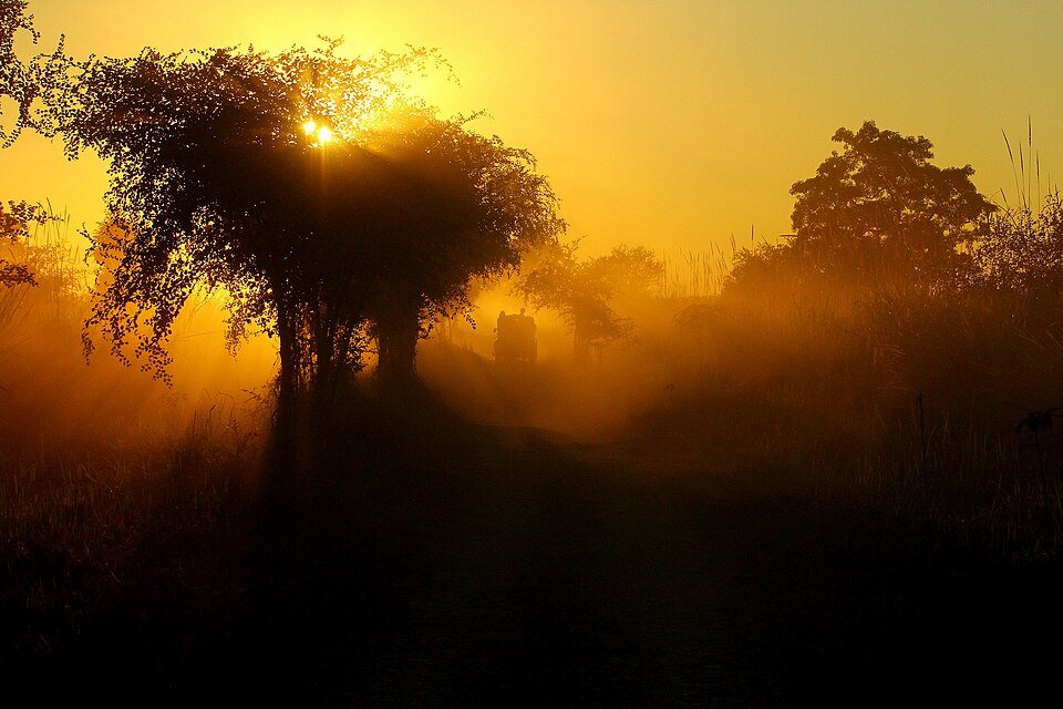 Kaziranga National Park protected wetland and grassland habitat in Assam